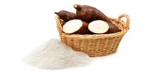 Nutrimental Nutrimental