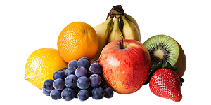 Nutrimental