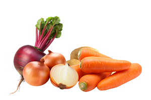 Nutrimental Nutrimental